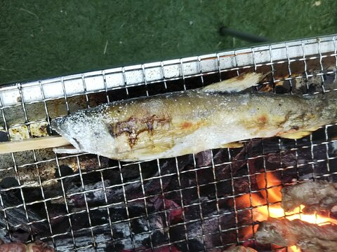 鮎の塩焼き レシピ 作り方 By シェリママ 楽天レシピ 鮎の塩焼き レシピ 作り方 By シェリママ 楽天レシピ